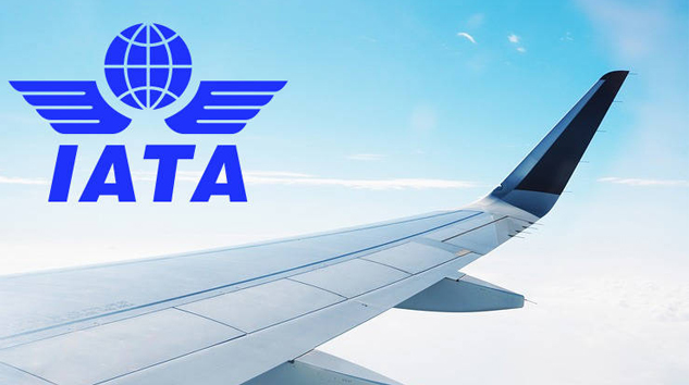 IATA rekor zarı açıkladı