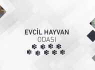 İstanbul Havalimanı’nda “Evcil Hayvan Odası” açıldı