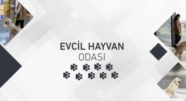 İstanbul Havalimanı’nda “Evcil Hayvan Odası” açıldı