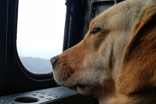 JGK’nın helikopterden görev arkadaşı fotoğraf paylaşımı