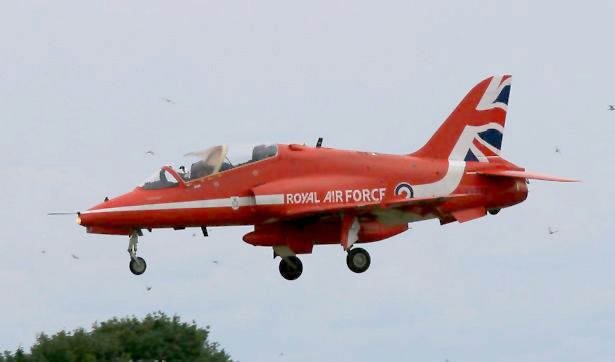 Red Arrows uçağına kuş çarptı, kanopisi kırıldı