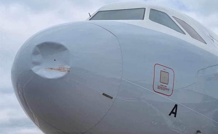 Brüksel Havayolları’nın A319’una kuş çarptı