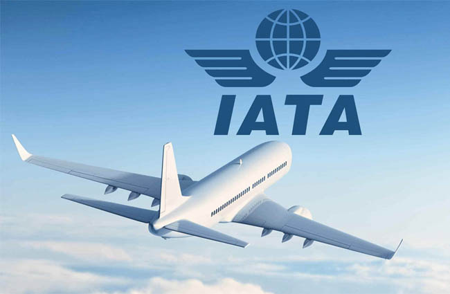 IATA, “Uçuş maliyetleri daha da artaracak”