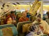 Singapur Havayolları yolculara türbülans tazminatı teklif etti