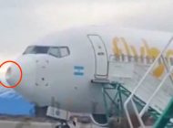 Flybondi Havayolu’nun B737-800’üne kuş çarptı