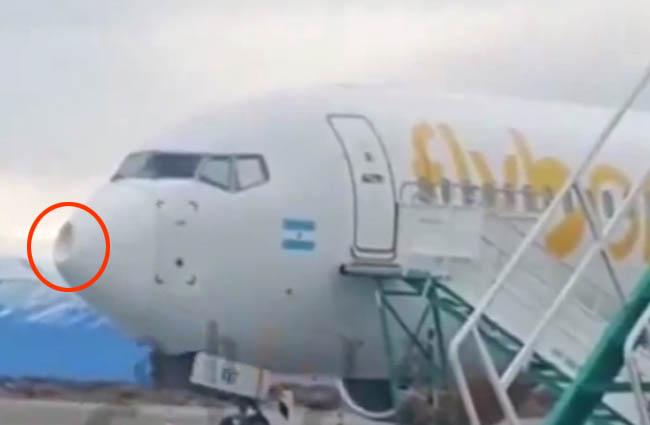 Flybondi Havayolu’nun B737-800’üne kuş çarptı