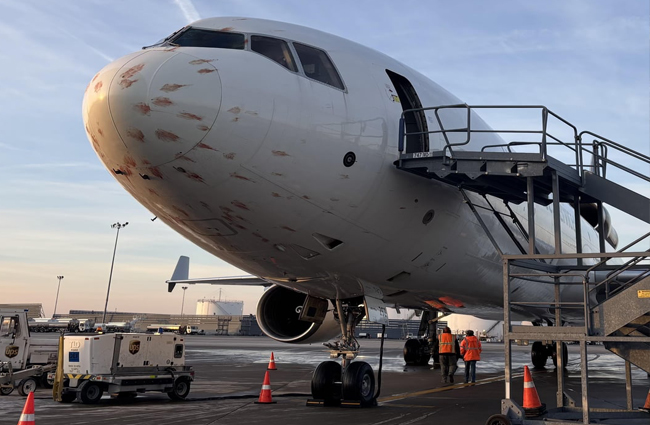 UPS’in MD-11’i kuş sürüsüne girdi